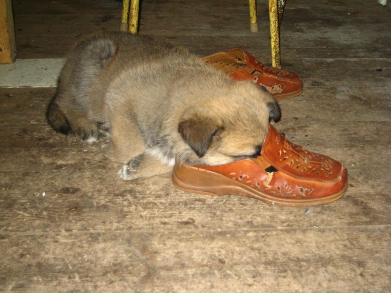 Сергей Камалов фотография #31