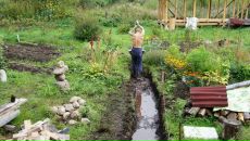 Дмитрий Крамарев фотография #12 (источник - https://vk.com/id274882)