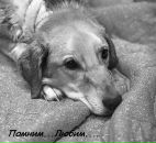 Фотография Зотовой Анны