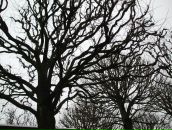 Фотография Кулешовой Юлии