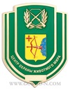 Фотография Поповича Алеши