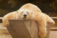 Фотография Мандровской Ксении