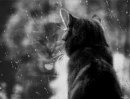 Фотография Девид Франклин