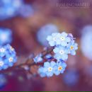 Фотография Репиной Анны