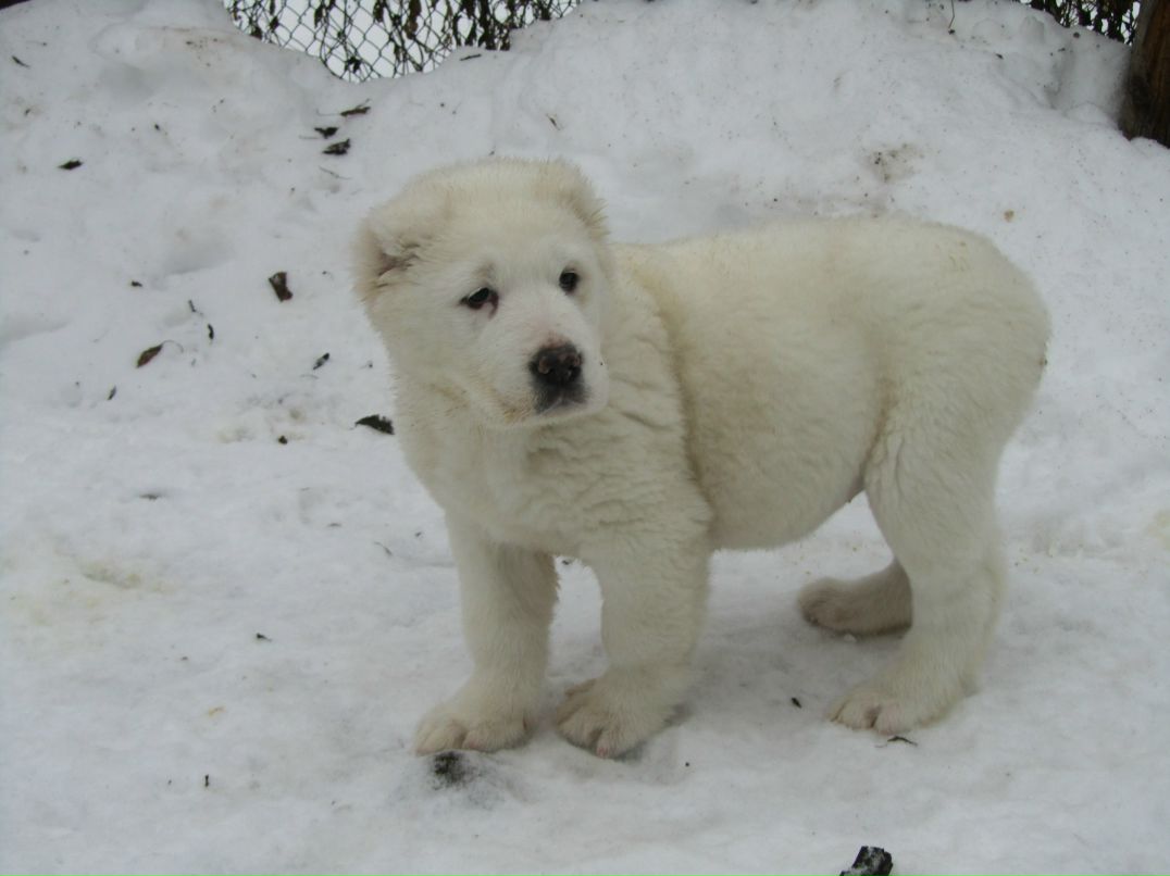 Василий Тихонов фотография #44