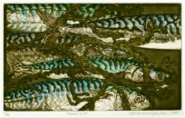 Фотография Ангенс Кот