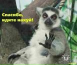 Фотография Деревягина Сергея