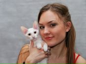 Фотография Холмецкой Натальи