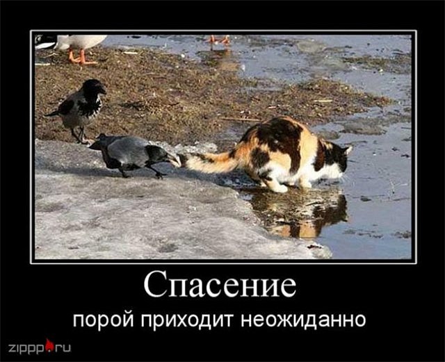 Андрій Сидлярук фотография #21