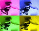 Фотография Ремизовой Виктории