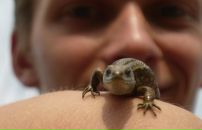 Фотография Тархановская Екатерина