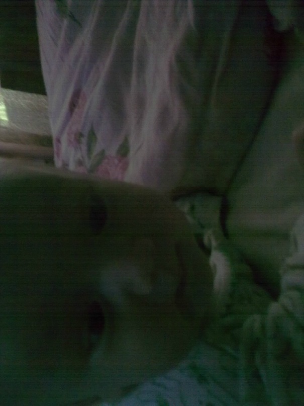 Артем Савельев фотография #30