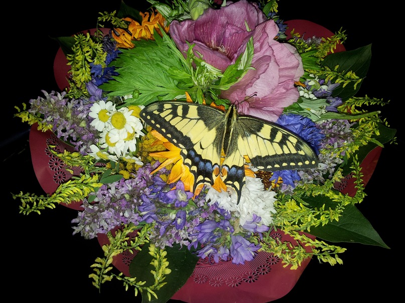 Сергей Козлов фотография #22