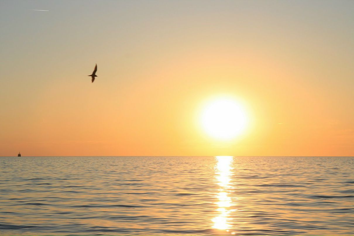 Анна Савельева фотография #36