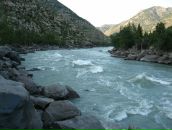 Alex Docent фотография #41 (источник - https://vk.com/id2559402)