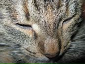 Фотография Карандашовой Гузель