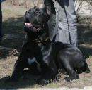 Фотография Шинтябиной Ирины