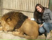 Фотография Perelshteyn Anna