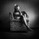 Фотография Брюллова Виталия