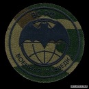 Фотография Алексеева Артема