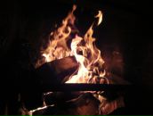 Дмитрий Царев фотография #32 (источник - https://vk.com/id2889691)