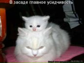 Сергей Нечаев фотография #38 (источник - https://vk.com/id799662)