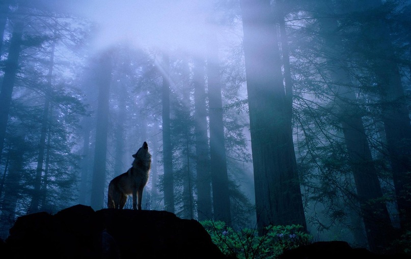 Артем Ченин фотография #31