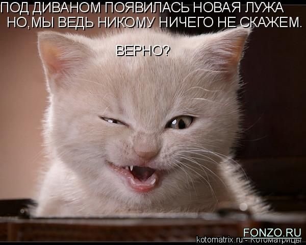 №12, Юля Черемхина, 26 лет, Санкт-Петербург №12, Юля Черемхина, 26 лет, Санкт-Петербург