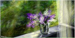 Фотография Кожушко Светланы