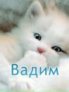 Фотография Вадим Корней