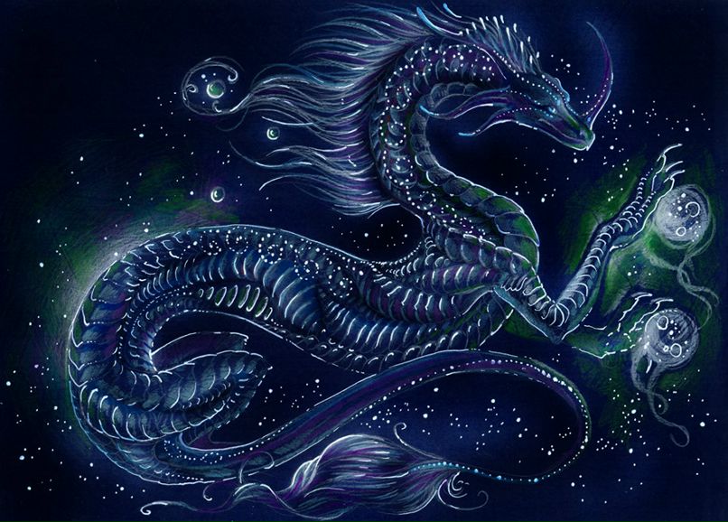 Миша Кот фотография #42