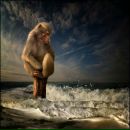 Фотография Веселова Андрея