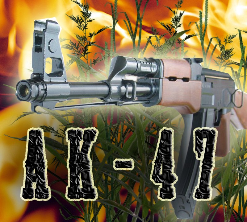 Дима Поляков фотография #50