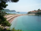 Андрей Мухин фотография #47 (источник - https://vk.com/id594331)