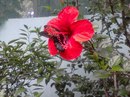 Фотография Тимофеевой Любови