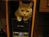 Фотография Лямытской Дианы