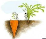 Фотография Клипп Дмитрий