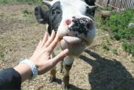 Фотография Петровой Евгении