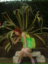 Фотография Phoenix I’m