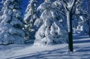 Емілія Мовчан фотография #18 (источник - https://vk.com/id65441918)