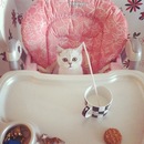 Фотография Вал Ирины