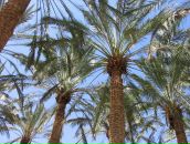 Фотография Григорьева Алексея