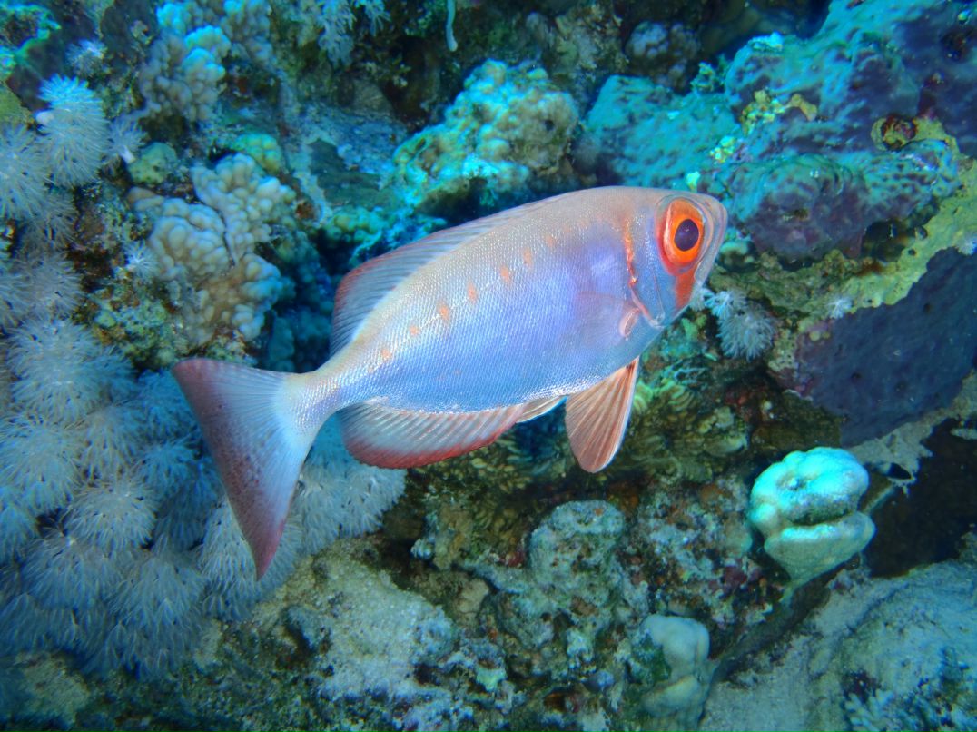 Vit Mi фотография #8