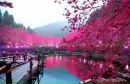 Фотография Наймушина Димы