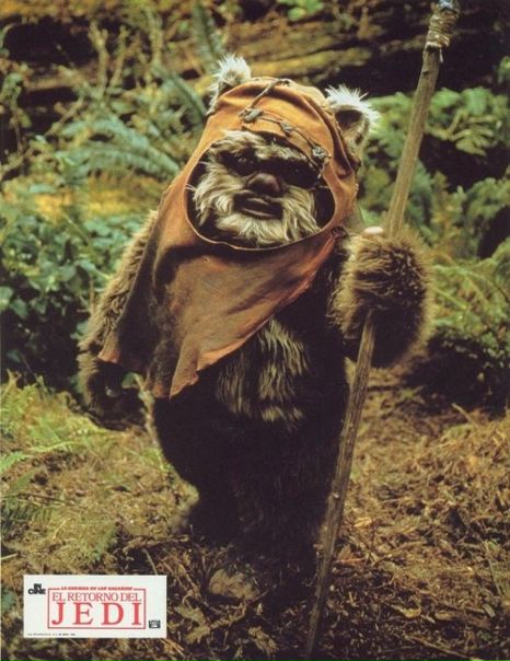 Дима Ковалёв фото №42