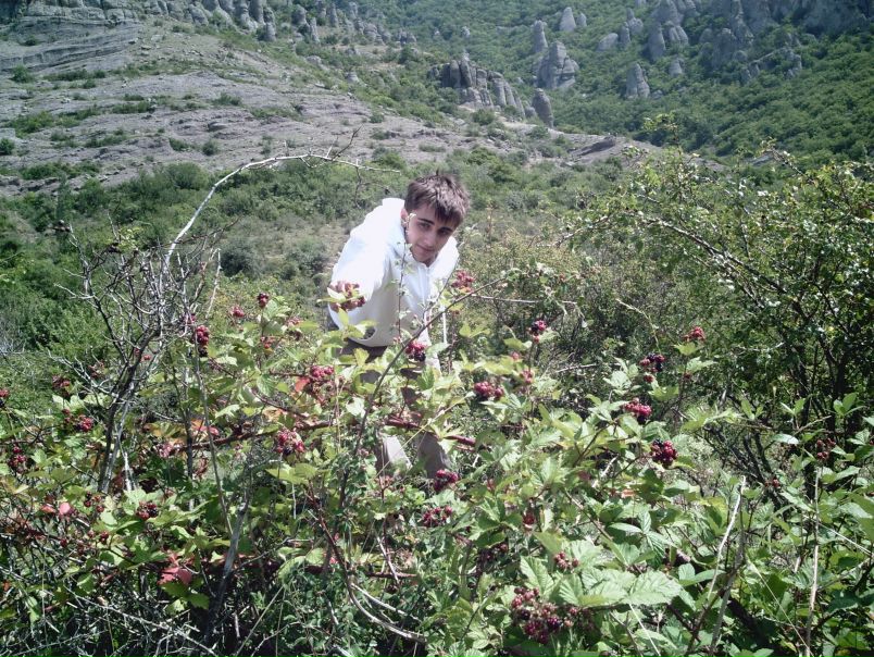 Макс Дейниченко фото №20