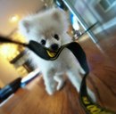 Ліля Стояновська фотография #37 (источник - https://vk.com/id134038179)