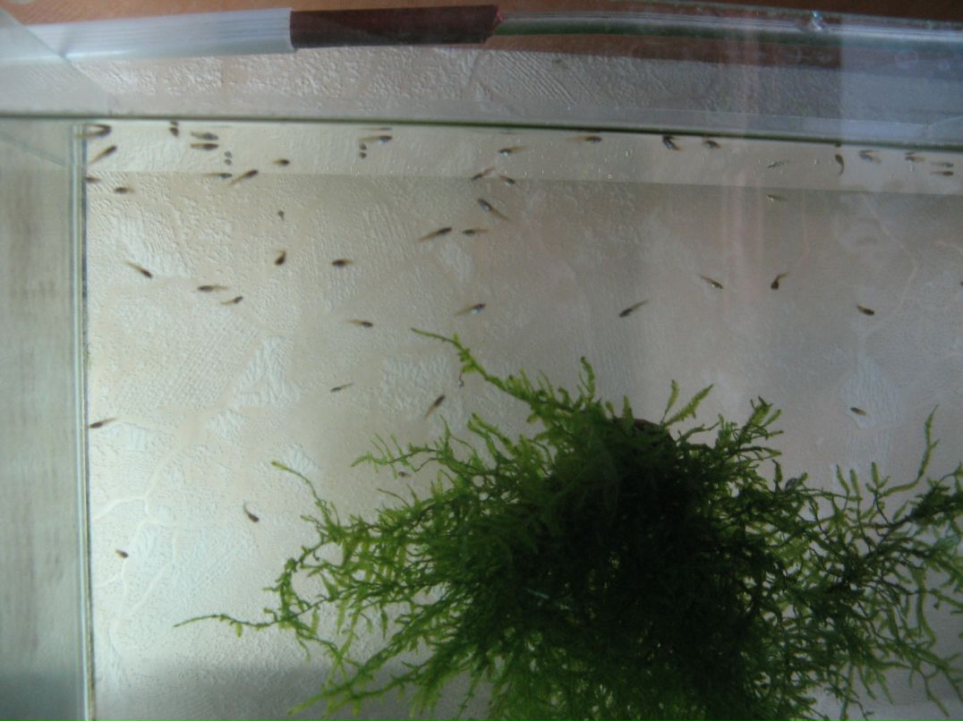 Сергей Андреянов фотография #43