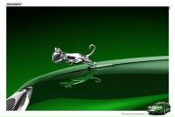 Фотография Северной Саши