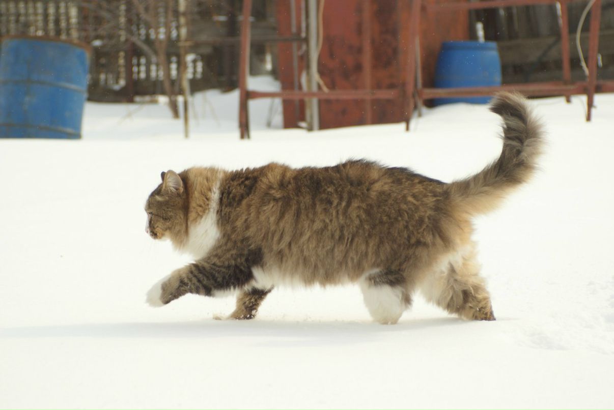 Anton Kasimov фотография #30